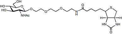 Beta GlcNAc-PEG3-Biotin
