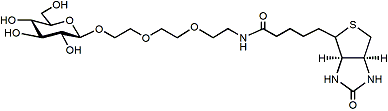 Beta Glc-PEG3-Biotin