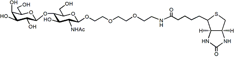 LacNAc-PEG3-Biotin