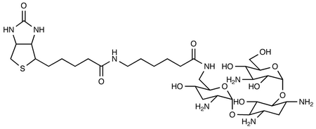 Biotinamidocaproate Tobramycin Amide