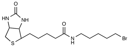 Biotin 5-Bromopentylamide