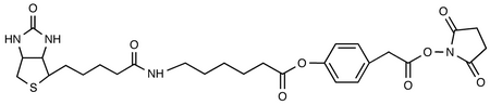 3-(4-(N-Biotinoyl-6-aminocaproyloxy)phenyl)propionic Acid, N-Hydroxysuccinimide Ester