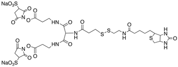 6-[2-Biotinylamidoethyl]-dithiopropionamido]-4,8-diaza-5,7-diketoundecanoic Acid, Bis-N-sulfosuccinimidyl Ester Disodium Salt