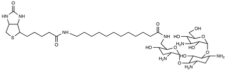 N-Biotinyl-12-aminododecanoyltobramycin Amide