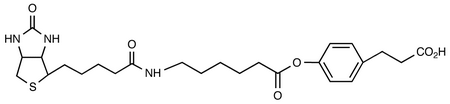 3-(4-(N-Biotinoyl-6-aminocaproyloxy)phenyl)propionic Acid