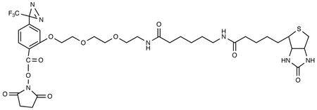 2-[2-[2-[2-[6-(Biotinylaminohexanoyl]aminoethoxy]ethoxy]ethoxy]-4-[3-(trifluoromethyl)-3H-diazirin-3-yl]benzoic Acid N-Hydroxysuccinimide Ester