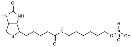 6-N-Biotinylaminohexyl Hydrogenphosphonate