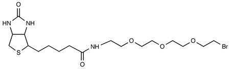 1-Biotinylamino-3,6,9-trioxaundecane-11-bromide