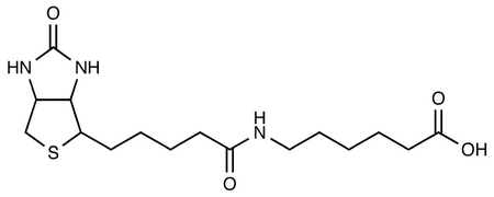 N-Biotinylcaproic Acid