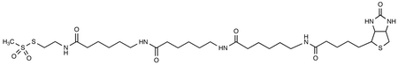 N-Biotinylcaproylaminocaproylaminocaproylaminoethyl Methanethiosulfonate