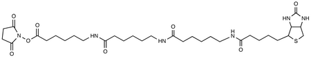 N-Biotinylcaproylaminocaproylaminocaproyl N-Hydroxysuccinimide