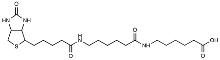 N-Biotinylcaproylaminocaproic Acid