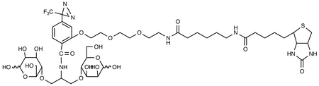 N-[2-[2-[2-[(N-Biotinyl-caproylamino)-ethoxy)ethoxyl]-4-[2-(trifluoromethyl)-3H-diazirin-3-yl]benzoyl]-1,3-bis(mannopyranosyl-4-yloxy)-2-propylamine