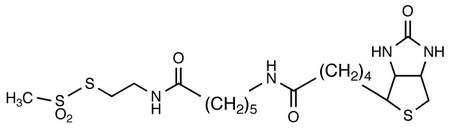 N-Biotinylcaproylaminoethyl Methanethiosulfonate