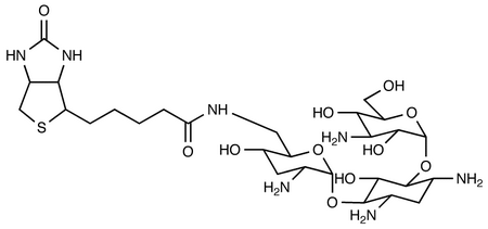 Biotinyl Tobramycin Amide