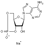  Adenosine 3’,5’-cyclic monophosphate sodium salt