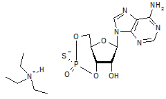 Adenosine 3’,5’-cyclic monophosphothioate Rp-isomer triethylammonium salt