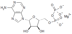 Adenosine 5’-diphosphate magnesium salt