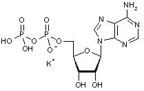 Adenosine 5’-diphosphate potassium salt