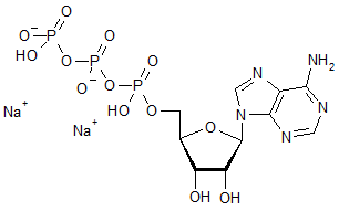 Adenosine 5’-triphosphate disodium salt hydrate
