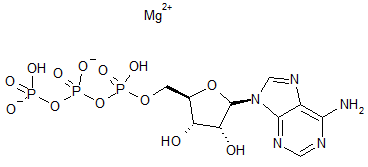 Adenosine 5’-triphosphate magnesium salt