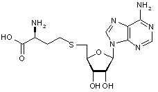 S-(5’-Adenosyl)-L-homocysteine dihydrate