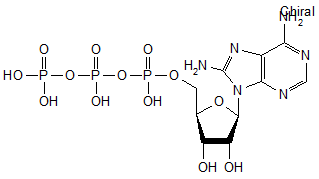  8-Aminoadenosine-5’-triphosphate lithium salt - 100mM aqueous solution