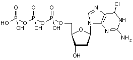  2-Amino-6-chloro-9-(2’-deoxy-β-D-ribofuranosyl)purine-5’-triphosphate
