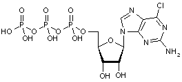  2-Amino-6-chloro-(b-D-ribofuranosyl)purine-5’-triphosphate