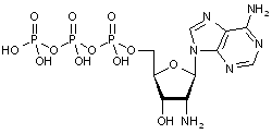 2’-Amino-2’-deoxyadenosine-5’-triphosphate