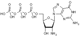  2’-Amino-2’-deoxyguanosine-5’-triphospate tetralithium salt