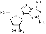  2,6-Diamino-9-(2’-amino-2’-deoxy-β-D-ribofuranosyl)purine