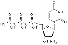 2’-Amino-2’-deoxyuridine-5’-triphosphate