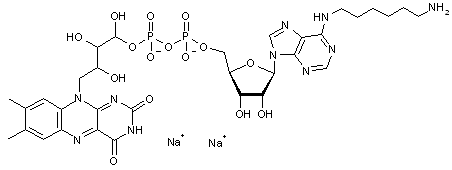  N6-Aminohexyl-flavin adenine dinucleotide