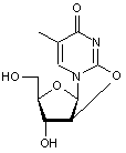  2,2’-Anhydrothymidine