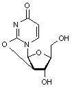  2,2’-Anhydro-L-uridine