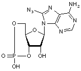 8-Azidoadenosine 3’,5’-cyclic monophosphosphate free acid