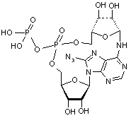 8-Azidocyclic adenosine diphosphate ribose