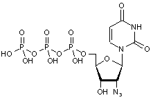 2’-Azido-2’-deoxyuridine-5’-triphosphate