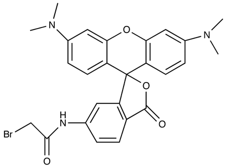 6-[Bromoacetamido]tetramethylrhodamine