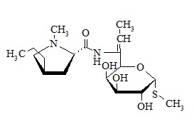 6,7-Dehydro clindamycin