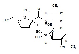 Clindamycin 3-phosphate