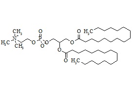DPPC (Dipalmitoylphosphatidylcholine)