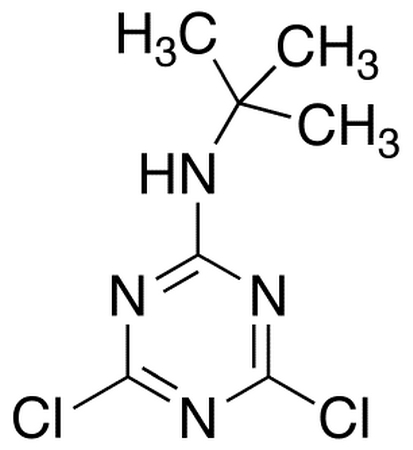 2-(tert-Butylamino)-4,6-dichloro-1,3,5-triazine