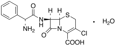Cefaclor Monohydrate