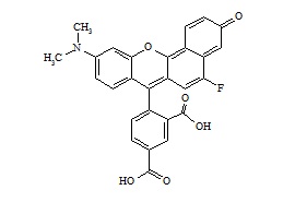 Intracellular pH Indicator 1 (4-(10-Dimethylamino-5-Fluoro-3-oxo-3H-Benzo(c)xanthen-7-yl)-Isophthalic Acid)