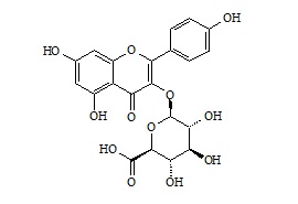 Kaempferol-3-Glucuronide