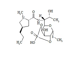Lincomycin 2,4-Phosphate