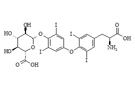 Levothyroxine phenolic glucuronide