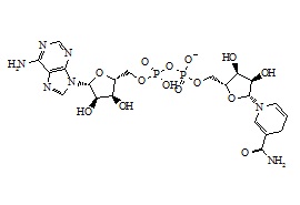 Dihydronicotinamide Adenine Dinucleotide